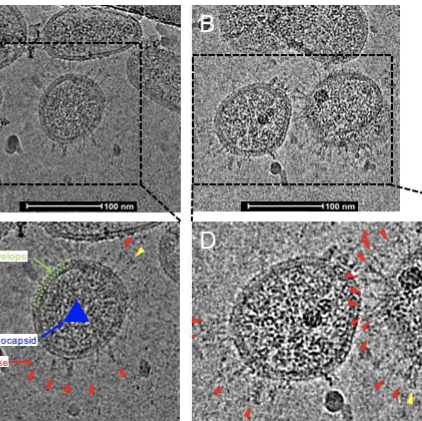 超微粉碎技术原理 巴西果效应如何优化粉碎工艺