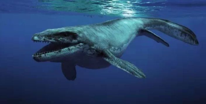 同样都是海洋霸主邓氏鱼和沧龙谁更强数据分析一眼看出