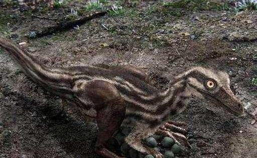 恐龙活了一亿八千年,为何一直没有进化成"恐人"?其实早有倾向