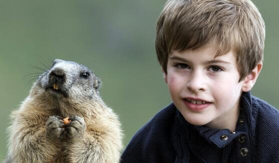 男孩从四岁结识土拨鼠每年都上山的他和土拨鼠感情让人羡慕