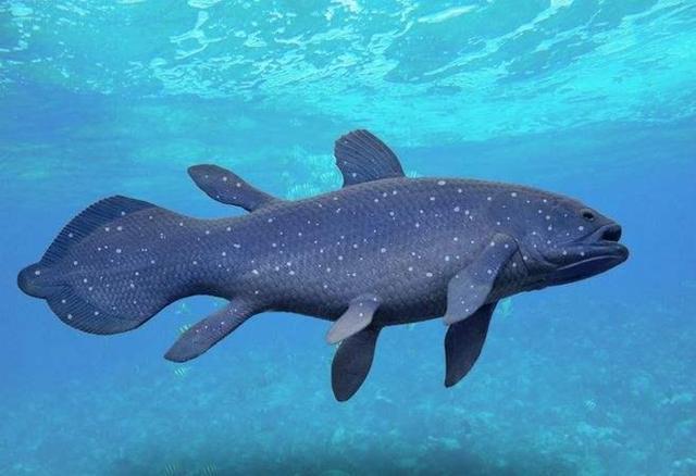 在生命大爆发的泥盆纪最大的生物究竟有多大恐龙也无法比拟