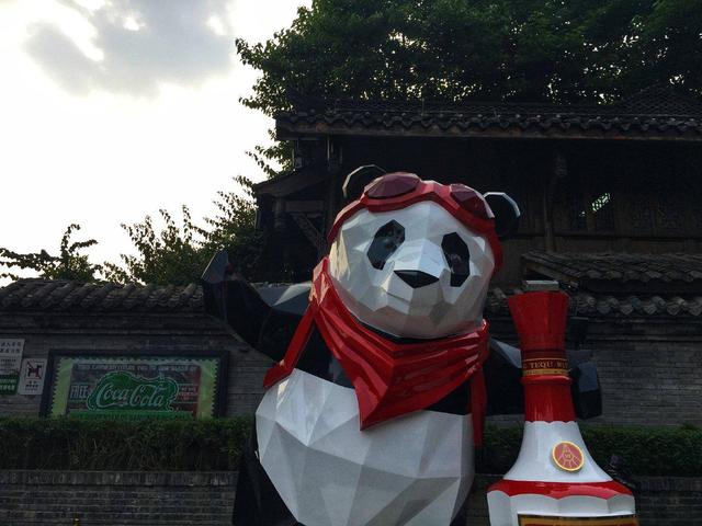 宽窄巷不再是北京的标志,成都的才最有代表性,你去过吗?