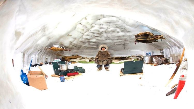 北极已经那么冷了,为啥因纽特人还要住冰屋?进去一看大开眼界