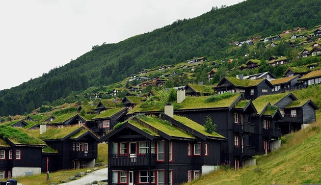 梦中的伊甸园挪威绝美绿色屋顶