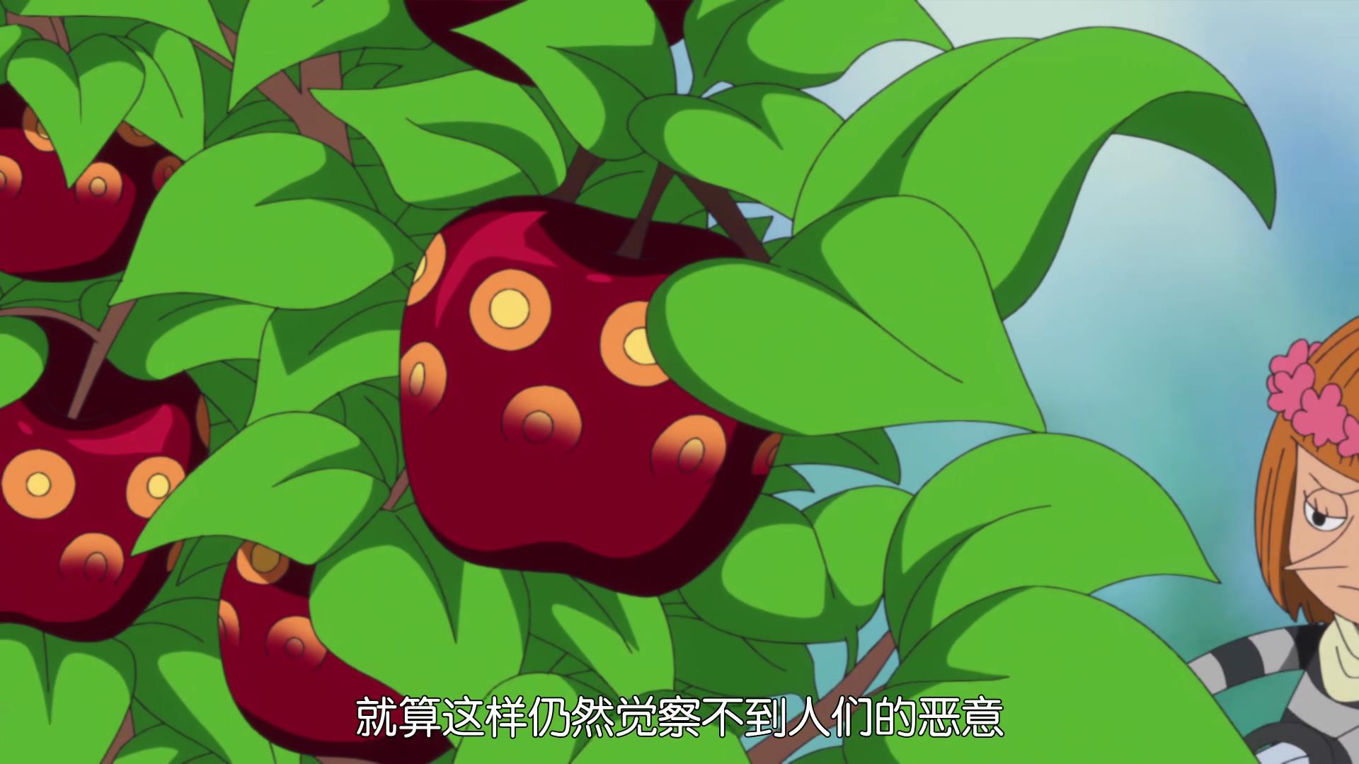 海贼王防御最强的果实排行屏障果实不是最强第一名攻守兼备