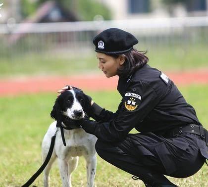 这些品种的狗狗"智勇双全",适合培养成警犬,有你家的吗
