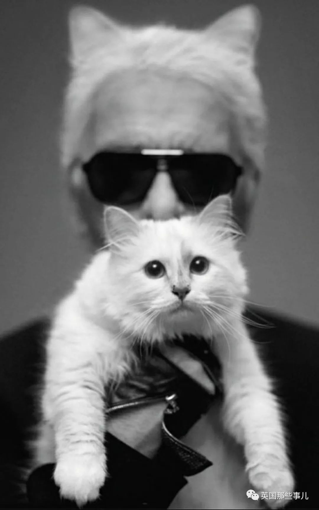 老佛爷逝世一周年那只继承了21亿遗产的爱猫现在过得咋样