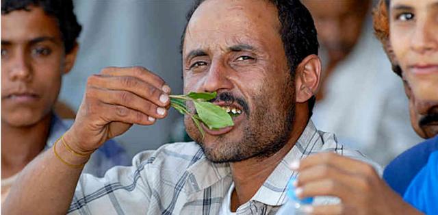 亚洲一奇葩大国,石油资源非常丰富,但人们却都吃草上瘾|也门|恰特