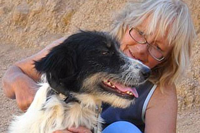 英国女子爱狗成痴,在埃及照顾流浪狗,却被一群狗咬死