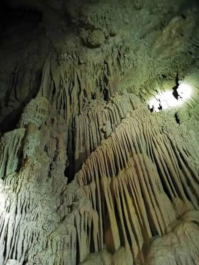 天堂村溶洞发现大量石钟乳,化石和岩画