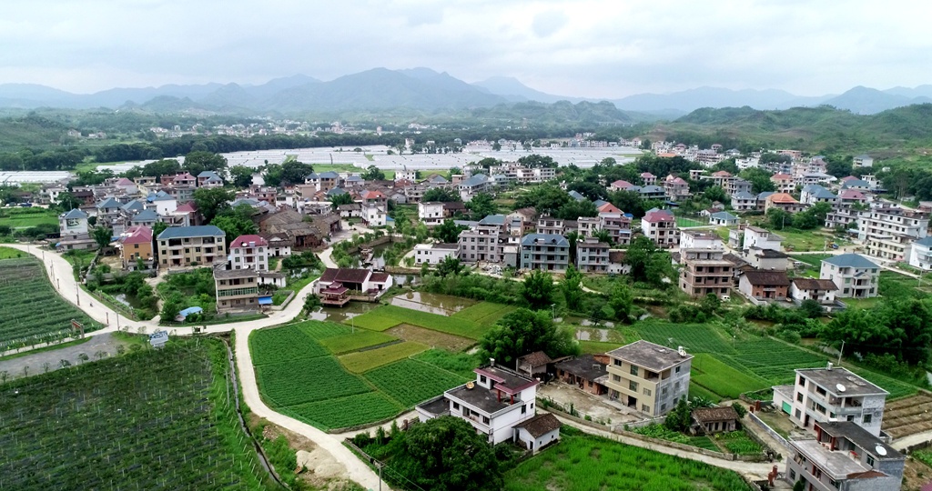 喜报!江西兴国县这四个村庄评定为国家森林乡村