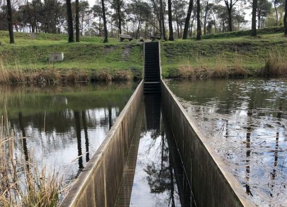 国外一座隐形桥人在水中行走300年来都从没被淹过