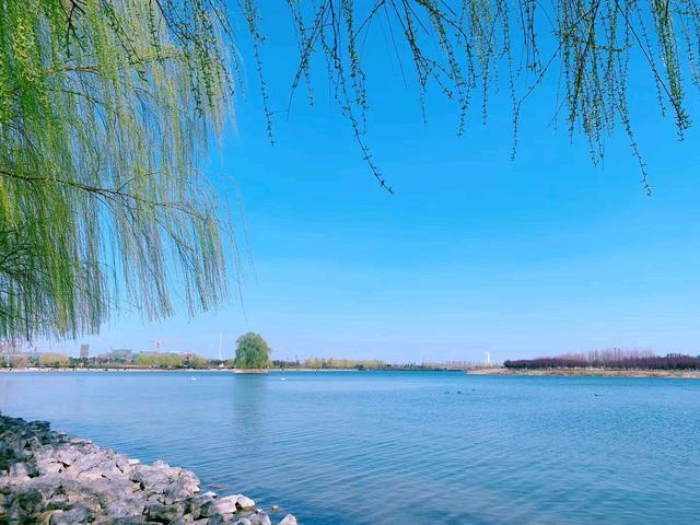 春来了,我们的城市,在慢慢的苏醒?