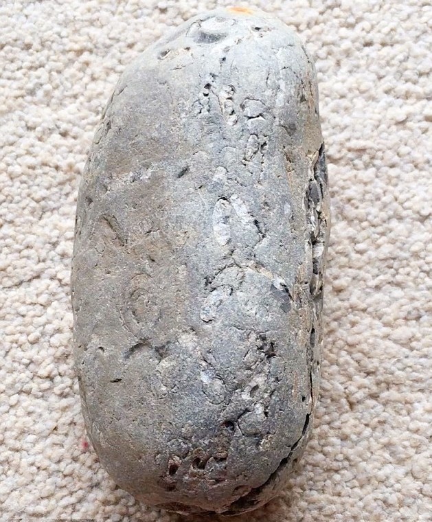 女子海边意外捡回一块石头,不小心摔成两半,收获意外惊喜