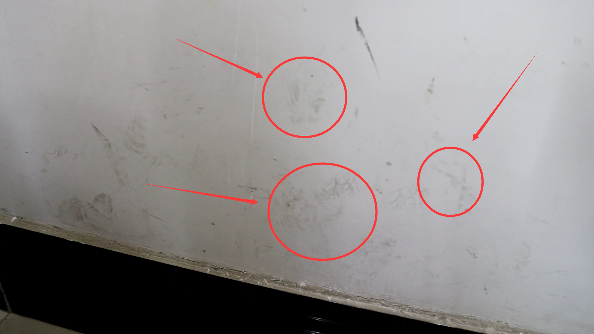 白墙上的小污渍,不用花钱请人刷,自己就能处理好,简单|污渍|水分|笔迹