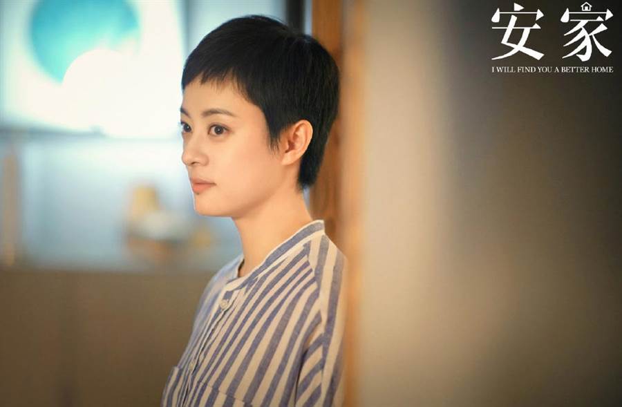 《安家》房似锦遇有爱老夫妇,曲玲珑看上徐文昌
