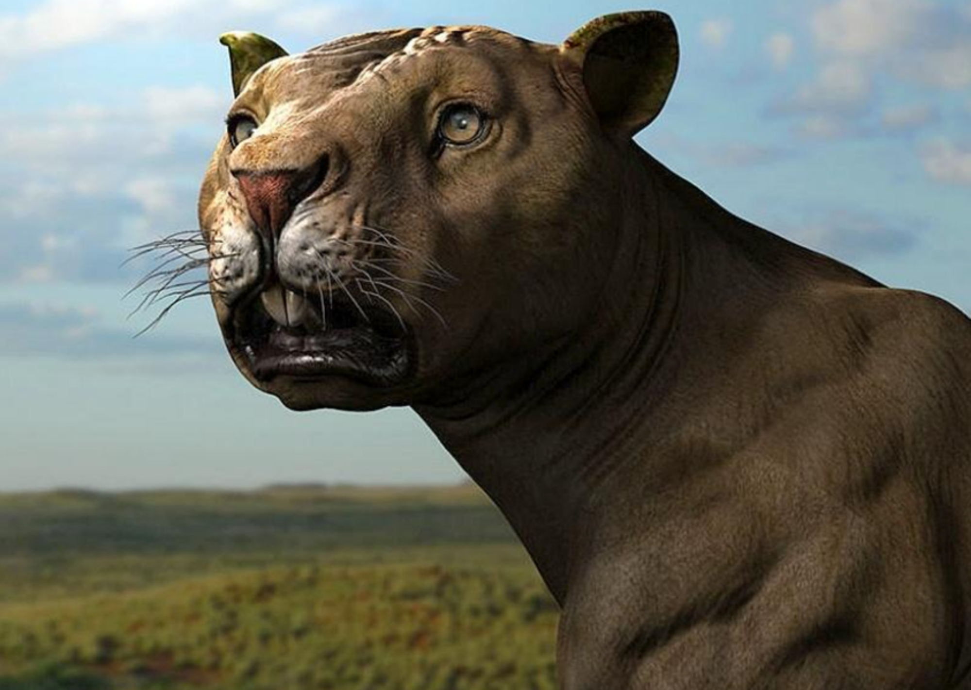 澳大利亚雨林中发现一种远古"狮子",牙齿能咬断骨头,腹部藏有