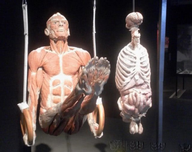 世界仅有的"人体博物馆",建造时耗费1.8亿,未满6周岁禁止入内
