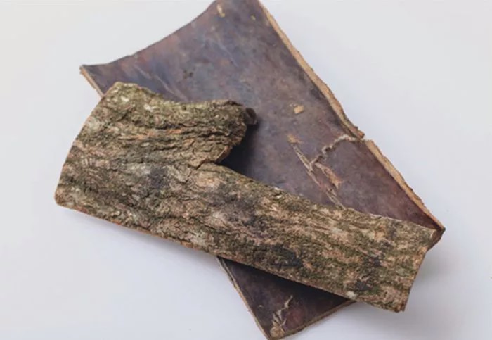 农村这树叫“杜仲”,树皮是好药材,对于补益肝肾有帮助