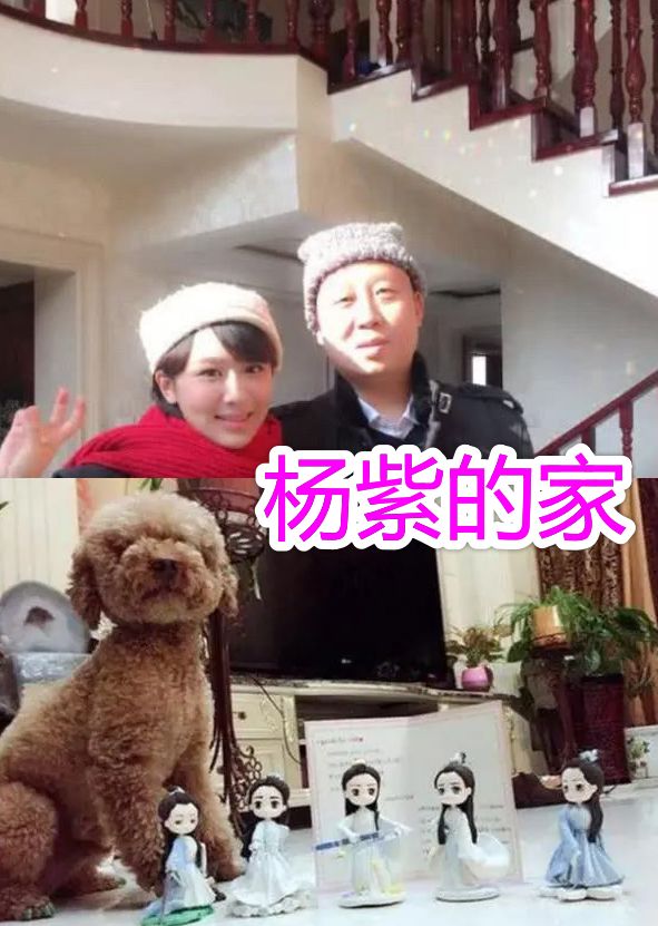 杨紫欧式别墅,郑爽家空荡荡,而她一直住酒店