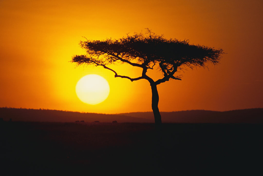 这首诗想必大家都比较熟悉,后一句经典已传颂至今.