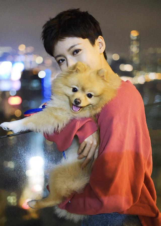 tvb小生首次挑战低智商角色 引圈内好友深夜发长文哭泣|孙慧雪|杨潮凯