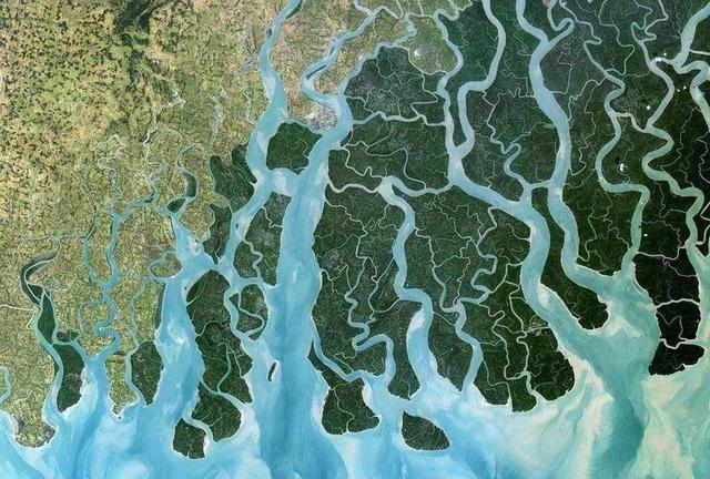 世界上面积最大的河口三角洲在哪里它是如何形成的