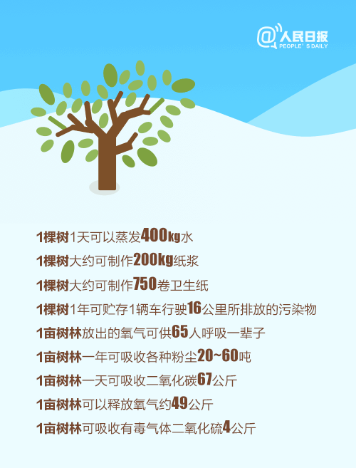 【植树节】双木成林,生生不息|植树节|双木|植树_新浪新闻
