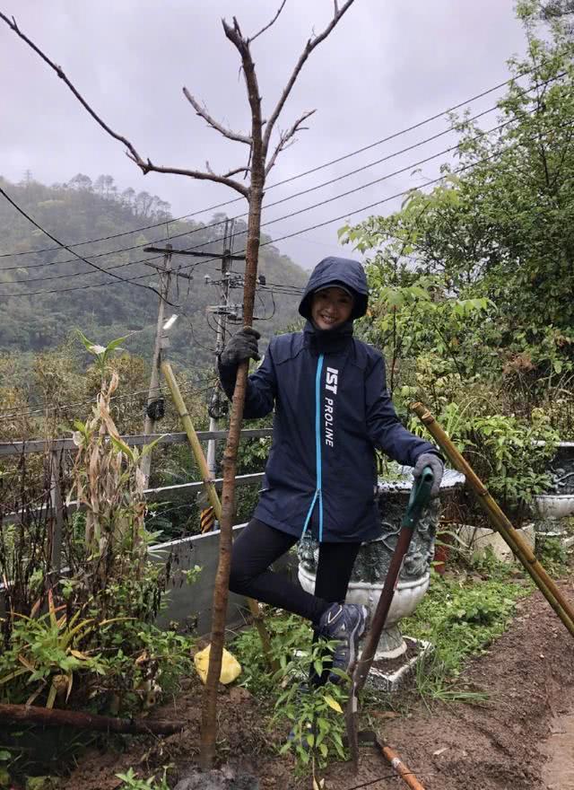 林依晨植树节冒雨种树,大干体力活,备孕半年多依然没有怀孕?