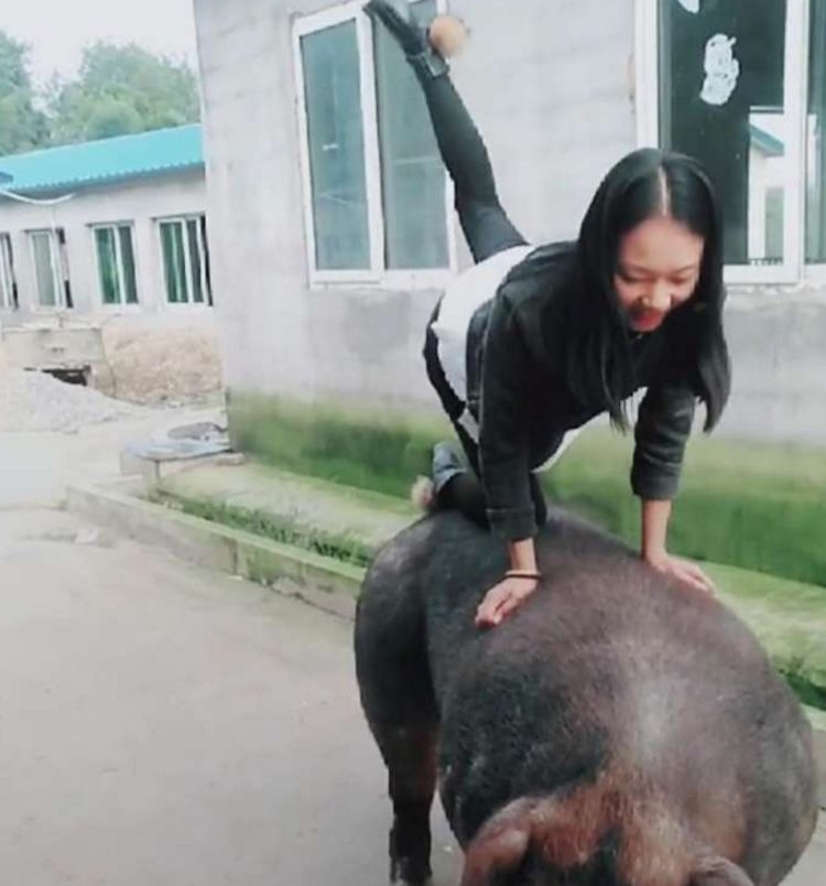 姑娘当众表演花式骑猪,猪还能骑出这些花样,只为在网上出名