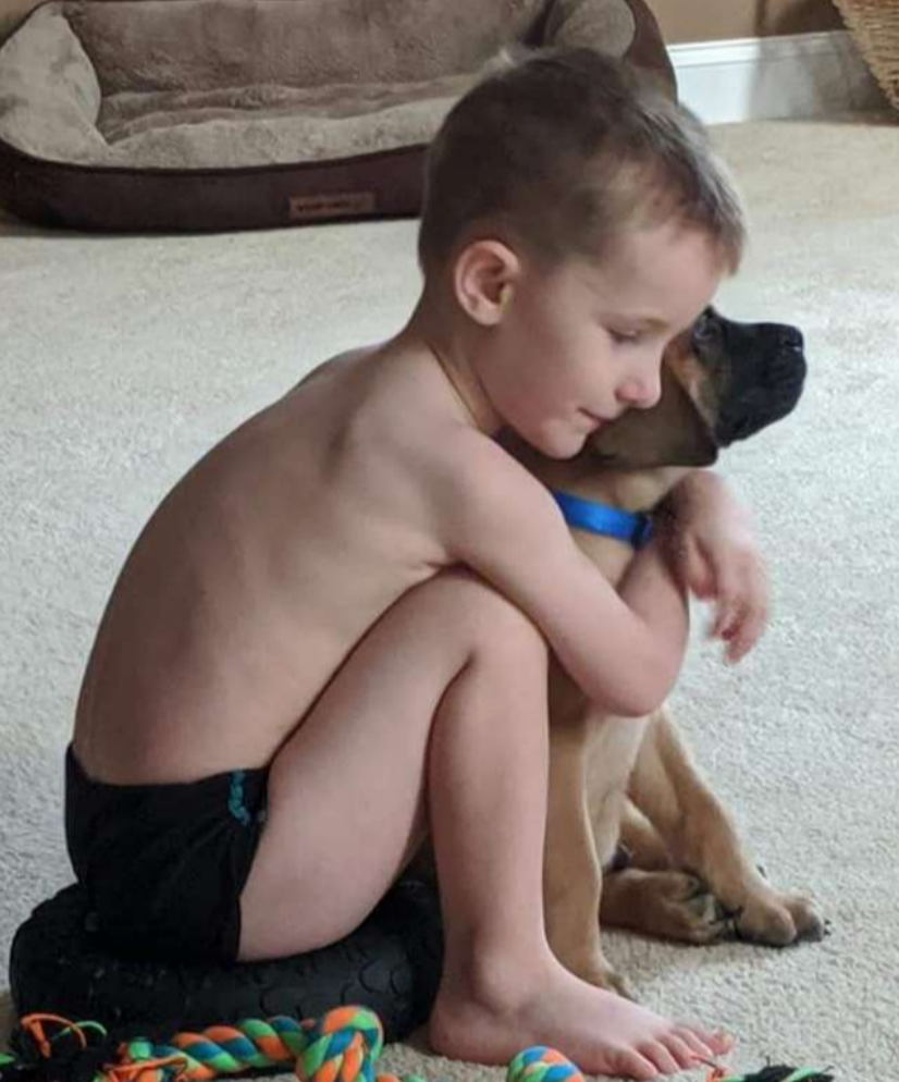 小男孩被妈妈罚站,狗狗跟着它一起接受惩罚,画面太有爱了|达什|佩顿