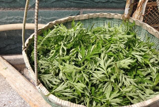 清明前不要错过这野菜,加点糯米粉,做成青团,软糯好吃真美味