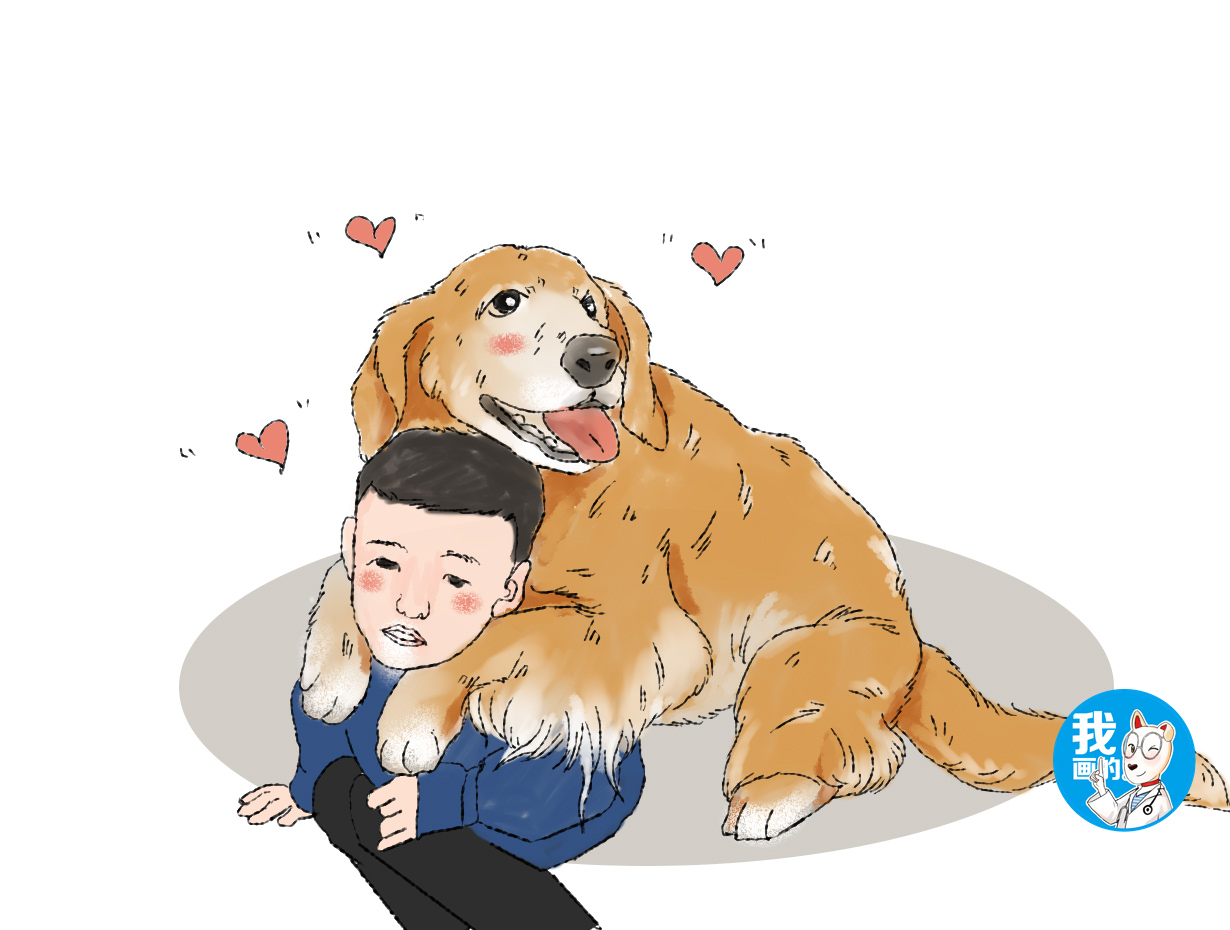 儿子正在被训斥,金毛从一旁经过之后,老爸都下不去手了