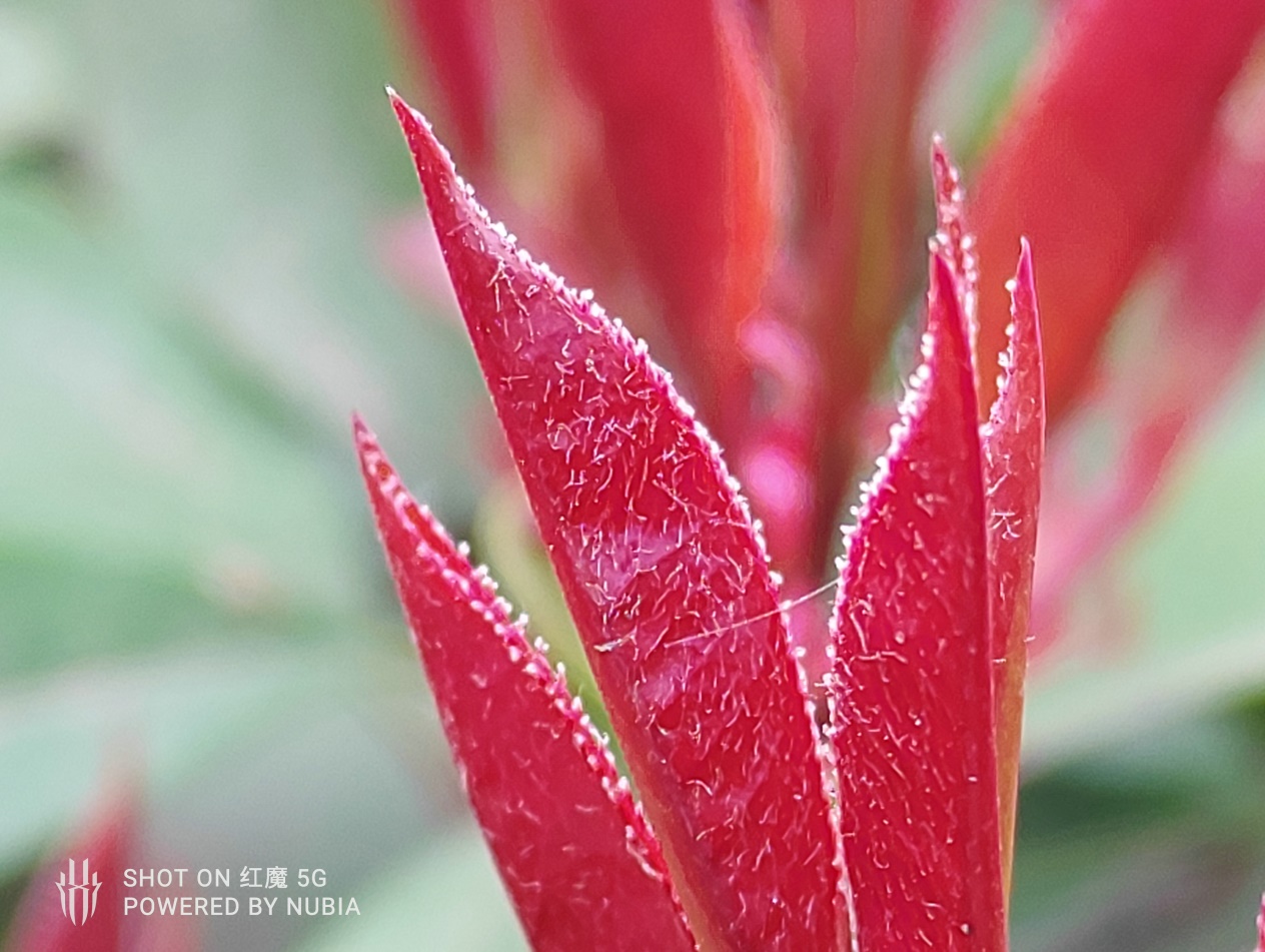 游戏手机不再需要半斤重!红魔5G“轻、快“带你上分吃鸡!