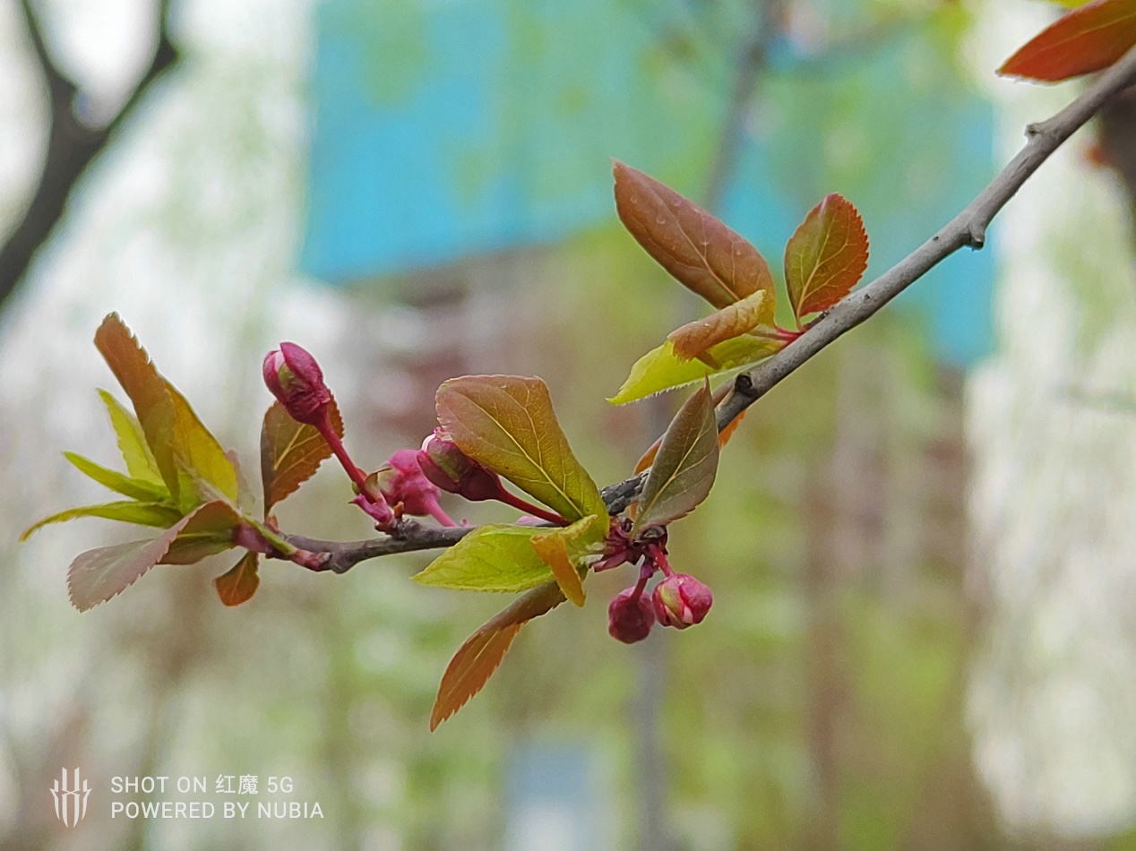 游戏手机不再需要半斤重!红魔5G“轻、快“带你上分吃鸡!