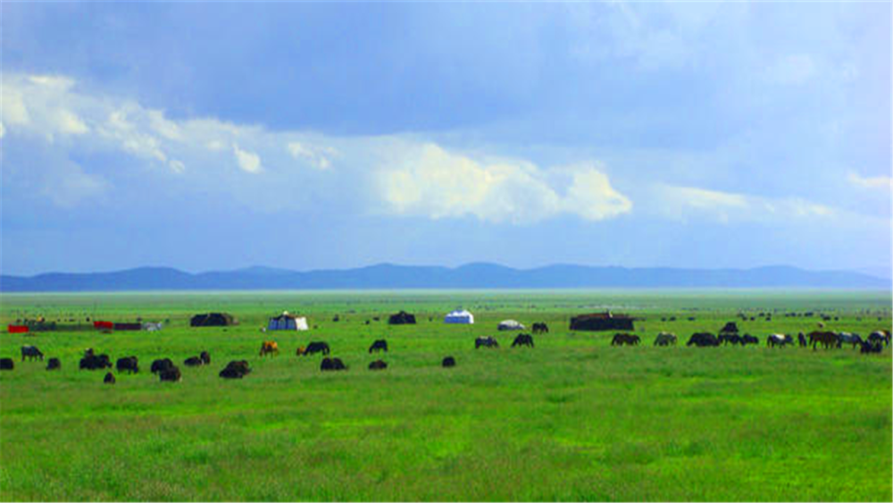 都有一望无垠的大草原,遍地都是牛羊,所见都是蒙古人
