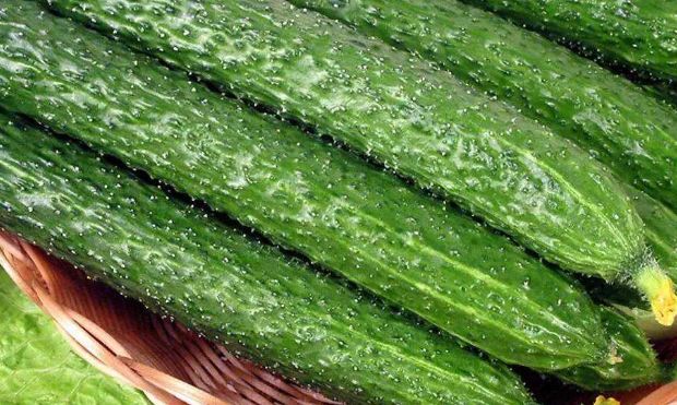 专家解答"3禁忌"|营养|副作用|蔬菜_新浪新闻