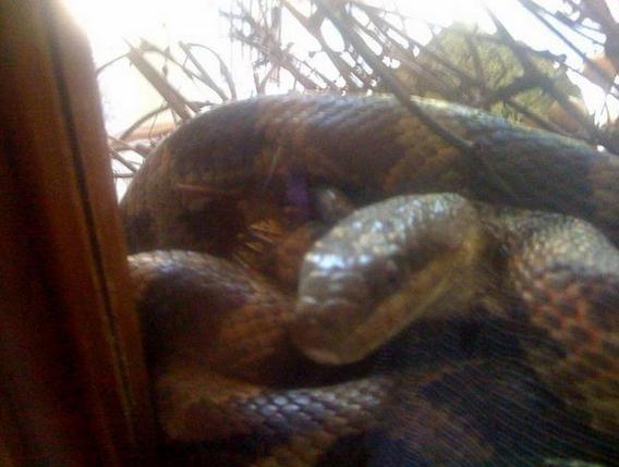 男子发现自家大门有些异常，靠近被藏门上的东西吓了一跳！休闲区蓝鸢梦想 - Www.slyday.coM