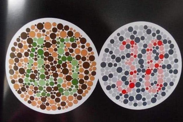 4张色盲测试图,不能识别出里面的内容,考取驾驶证无望