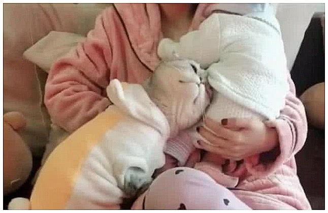 女子抱着宝宝在看电视,感觉身上有东西压过来,低下头笑开眼