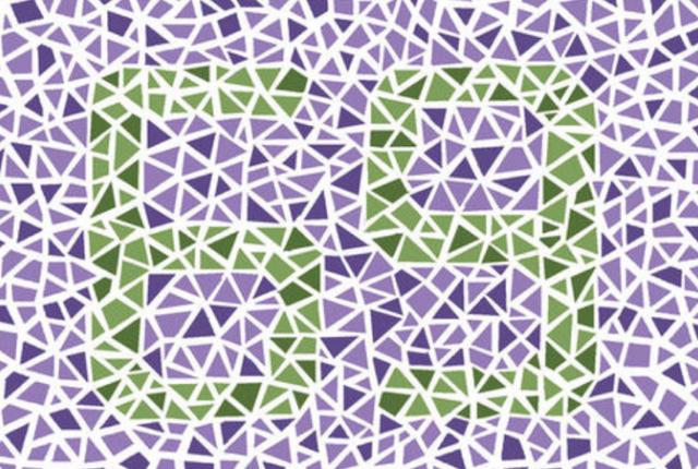 第四张可以测试绿色盲者,正常是可以清晰看出图中的内容是数字"69"