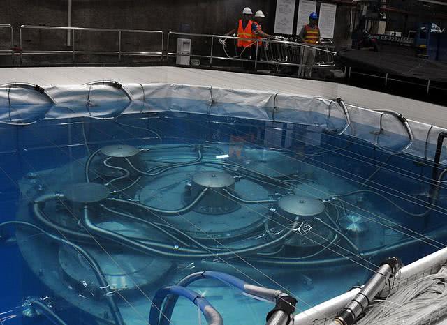 不小心掉入核电站的核反应堆水池中有什么后果专家死的很惨