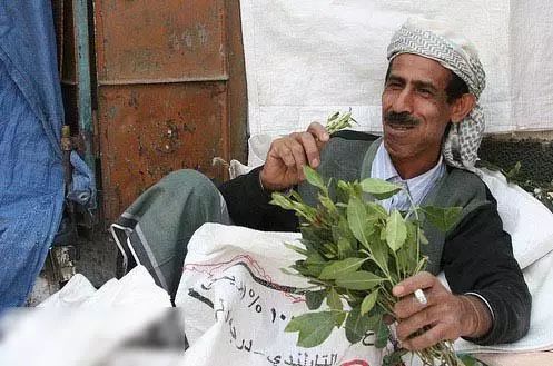 的国家:宁不工作也要种植,一日三餐都少不了|粮食|恰特|也门_新浪新闻