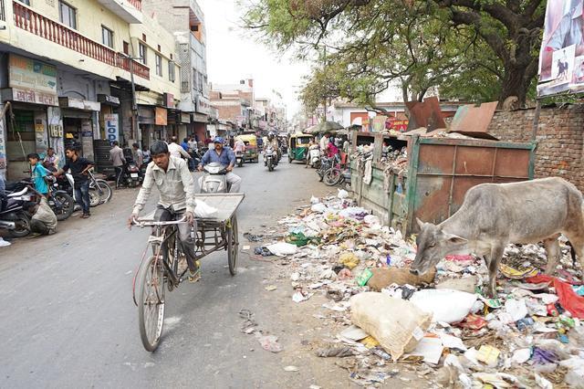 印度"脏乱差"是真的吗?看看去过印度游客怎么说!你还会去吗?