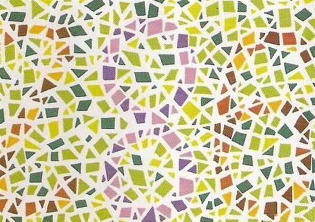 5张车管所色盲测试图:若是一张认不出,无缘触碰方向盘