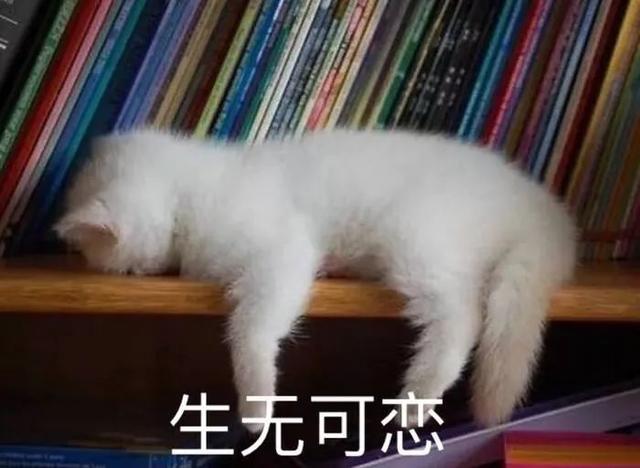 稀饭旅行