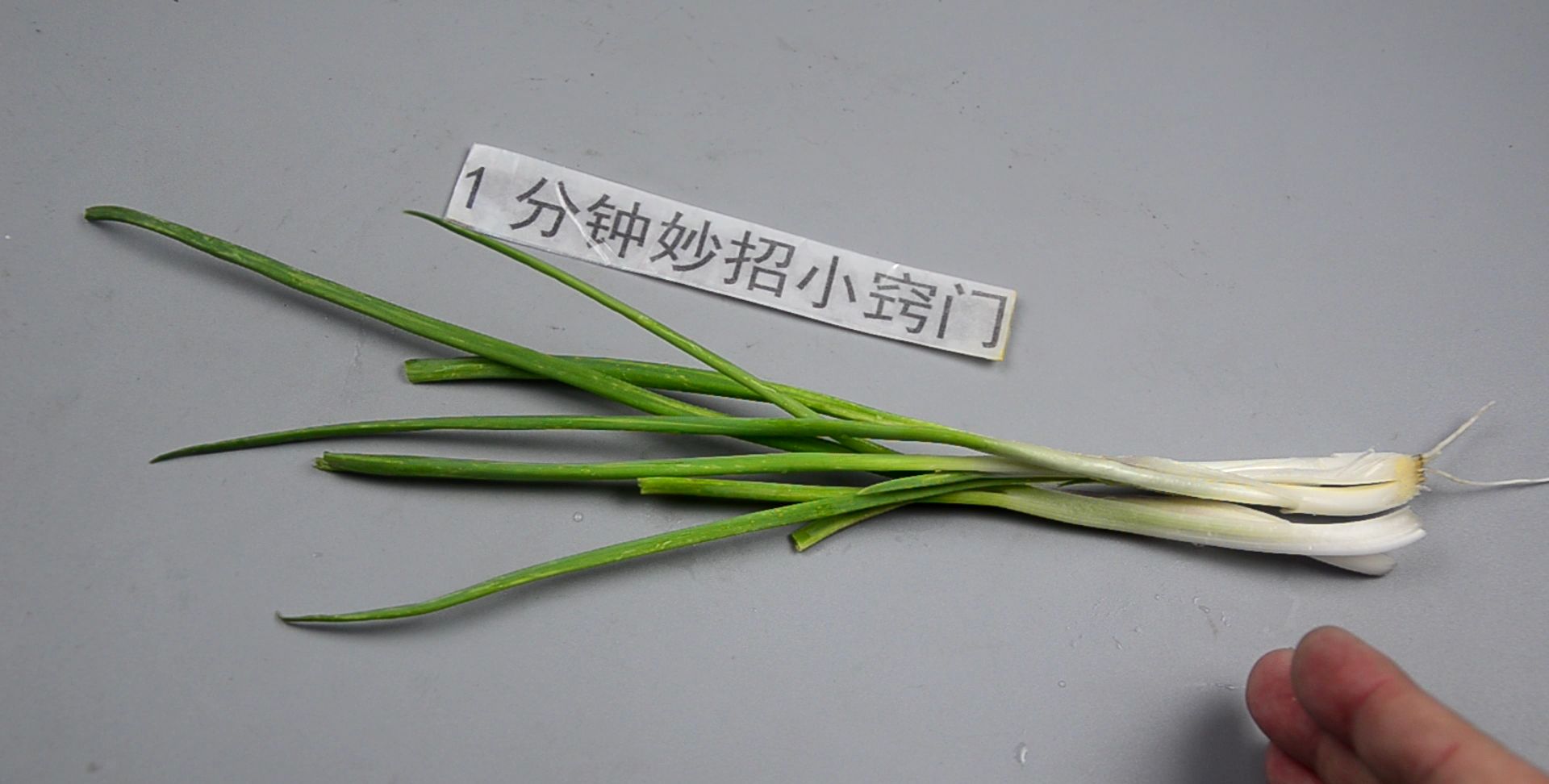 才发现,原来保存香葱这么简单,不黄叶不烂根,放一年依旧翠绿|香葱|水培|烂根_新浪新闻
