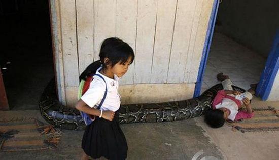 蟒蛇|巨蟒|小男孩_新浪新闻