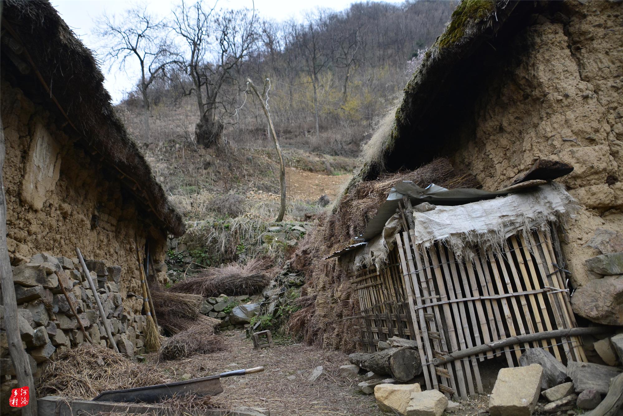 孝子深山守护痴呆老娘,怕老娘出门找不到家,修缮40年草屋指路