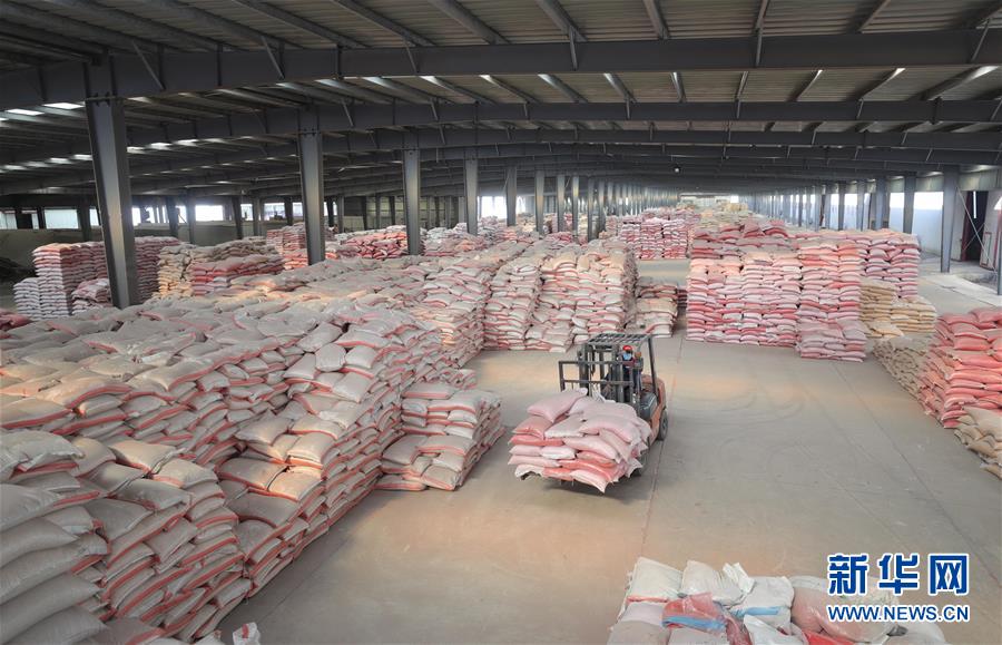 沈阳:选种育种备春耕|种业|玉米_新浪新闻